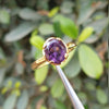 Natural Certified Amethyst Stone Ring For Ladies Real Ba-Quwat Jamri Stone Original Amethyst Ring for Women's in Gold Plated Purple Quartz