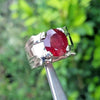 Natural Blood Red Afghani Ruby Ring Original Afghani Kabli Ruby Ring For Mens